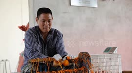 China: A Farmer Processes Persimmon in Zaozhuang