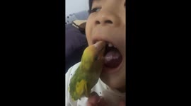 Parrot attempts to pull loose tooth in Hunan