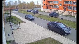 Stray dogs attack child in Shatura, Moscow region