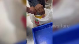 Passenger detained for smuggling 408 grams of gold bars at airport in northern India