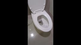 Eerie sewer creature pokes its head through family's toilet