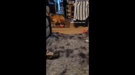 play time
