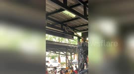 Soldier catches python dangling from roof