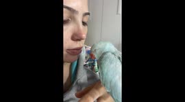 Sweet Parrot Soaks Up Love