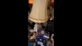 Exclusive- Junk removal job turns shocking with hoarder's hidden