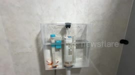 Toilet tank with goldfish gets automatic water change