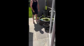 Dog acts innocent after being told not to eat pond plants