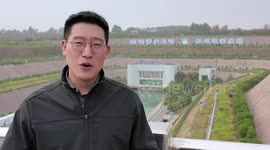 Explore how freshwater crosses Yellow River in China's mega project