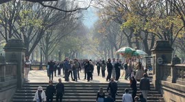Central Park Weather & Wildfire Haze