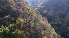 Autumn serenity in ancient villages and tea gardens of east China