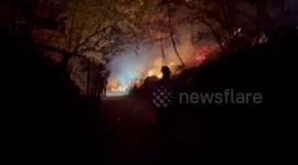 Brush fire ignites in Brooklyn's Prospect Park