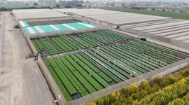 Peru: Peru's agricultural exports surge as APEC opens new opportunities