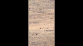 Wolves hunting elk seen from Upper Hellroaring in Yellowstone National Park