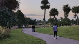Leisurely Afternoon at Local Park