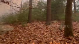 Wildfires in Lynn, Massachusetts burn over 360 acres