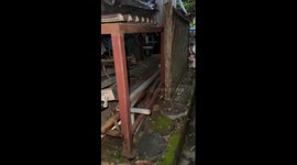 White kitten squeezed between wall and plant pot rescued by resident