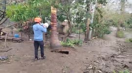 Authorities evacuate residents as Typhoon Toraji makes landfall in the Philippines