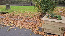 Bristol takes on van dwellers with large planters amid increased complaints