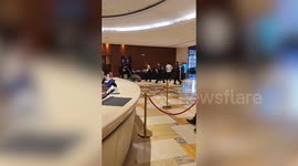 Wild boar causes chaos inside hotel lobby