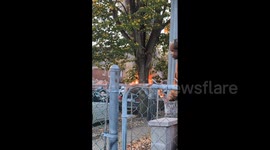 US: Car Explodes In Queens, New York, Damaging Several Homes