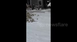 US: Winter Storms Bring Heavy Snow To Colorado 3