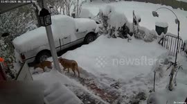 US: Winter Storms Bring Heavy Snow To Southern Colorado