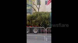 US: Rockefeller Center 2024 Christmas Tree Arrives In New York City 2