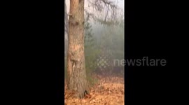US: Wildfire Rages In Lynn Woods Reservation, Massachusetts 3