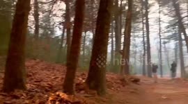 US: Wildfire Rages In Lynn Woods Reservation, Massachusetts