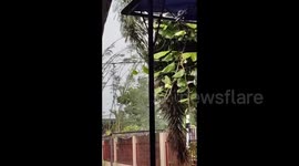 Philippines: Typhoon Toraji Slams Northeastern Region