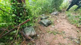 Soldiers seize 379lbs of drugs labelled 'Porsche' along northern Thailand border