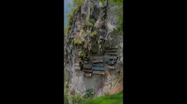 Coffins hang on cliffside at world's weirdest cemetery