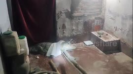 Huge crocodile found waiting with its jaws open in family's home