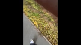 Woman Gets Splashed By Car