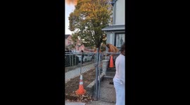 SUV explosion rocks South Ozone Park, Queens, USA