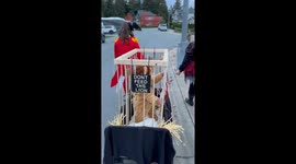 Adorable Circus Lion Halloween Costume