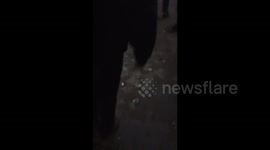 Lebanon: Israeli raid targets Al-Saksakiya, casualties reported