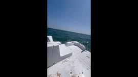 Woman Falls Off Pedal Boat