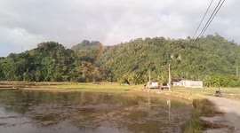 Rare moment a rainbow appears in a rice field in Indonesia