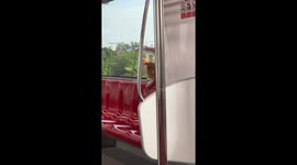 Stray tabby cat rides monorail train in Thailand