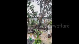 Philippines: Typhoon Toraji Slams Northeastern Region 6