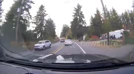 US: Police Push BMW Into Trees After High-Speed Chase, Recover Stolen Firearm