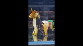 Catfish cleaning dirty unicorn in aquarium gains over 2 million views on TikTok