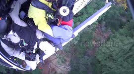 US: Daring Hiker Rescue Amidst Towering Trees in Big Sur