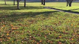 Windy Autumn Weather in Montgomery