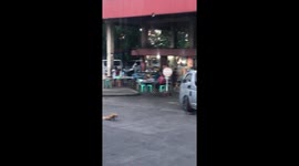 Pet dog thought to be injured was only scratching its lower body