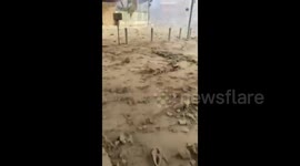Lebanon: The effects of the Israeli raid near Hadi Nasrallah Highway in the southern suburb