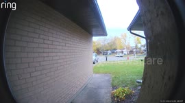 Thanksgiving Turkeys Go Trick-or-Treating on Halloween