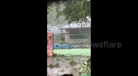 Philippines: Typhoon Toraji Slams Northeastern Region 9