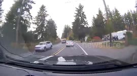 Police chasing BMW shunt driver into row of trees